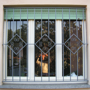 Inferriata con fiore